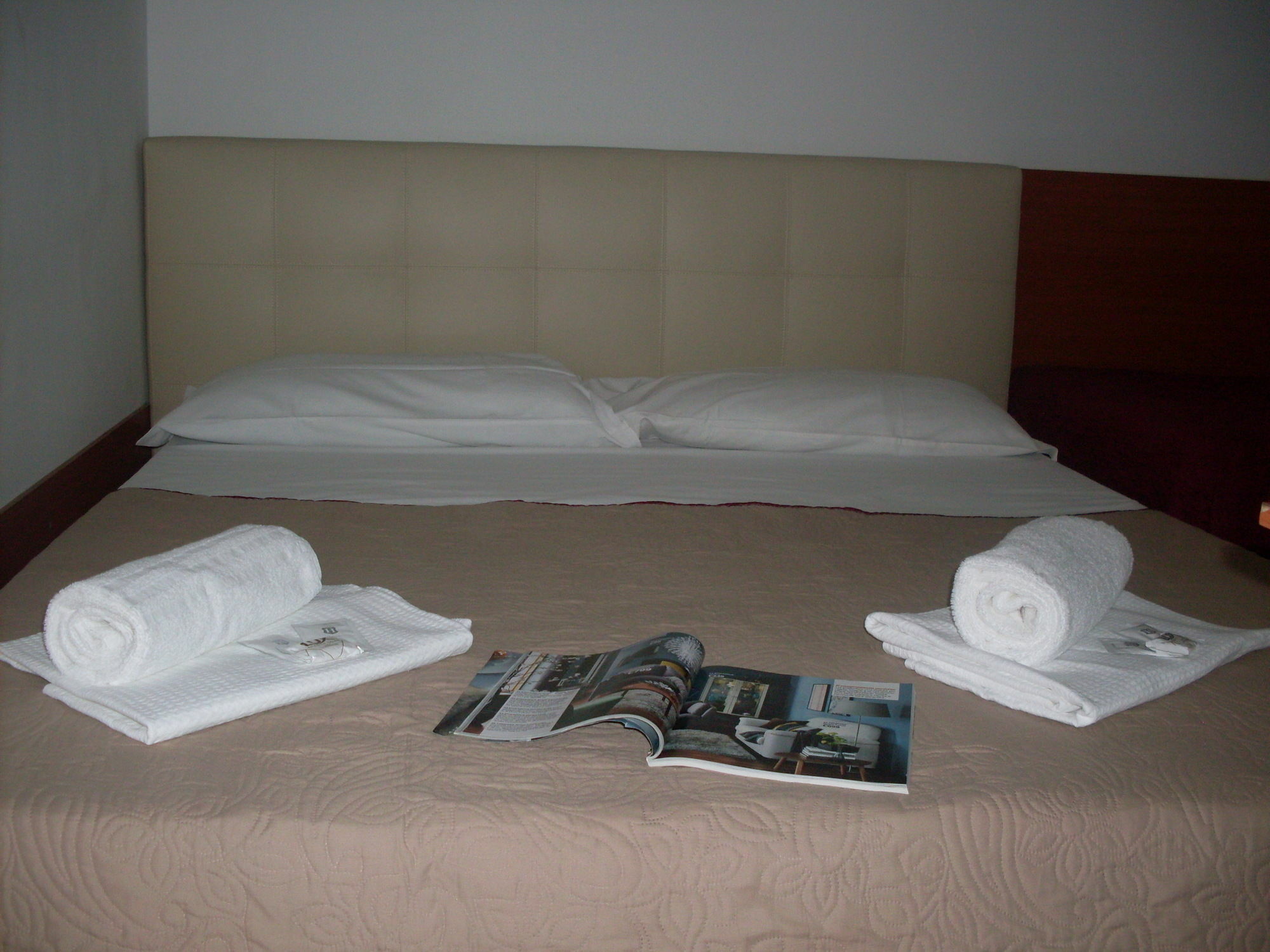 Dhali - Guest house